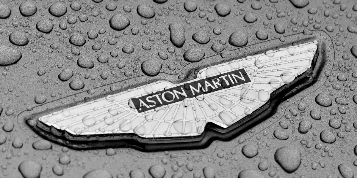 Close-up of water beading on a protected car panel