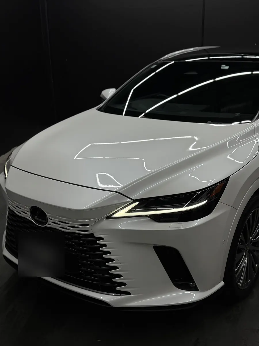 Lexus RX at Xotic Customs Melbourne